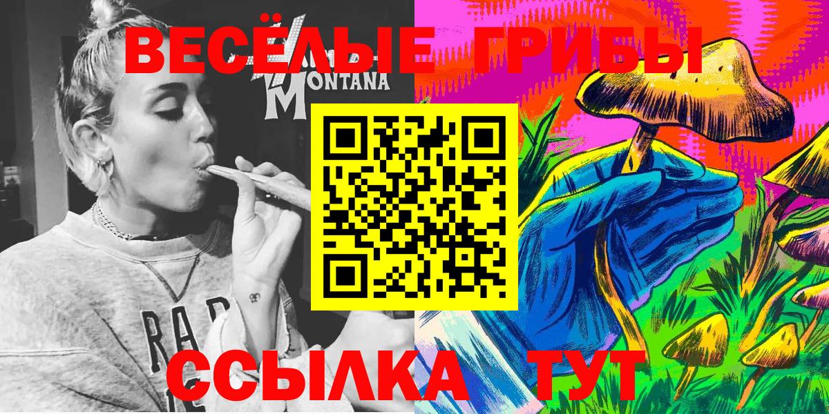 купить наркотики цена  Вход с VPN  Волгодонск  Псилоцибиновые грибы Magic Shrooms 